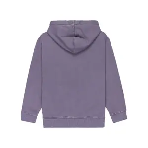 Sweatshirt à capuche enfant Element Lowcase Pigment image-4