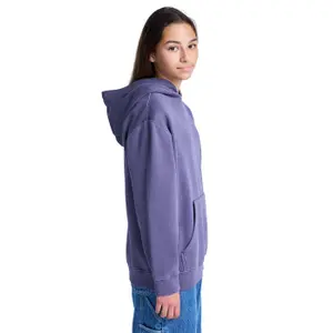 Sweatshirt à capuche enfant Element Lowcase Pigment image-6
