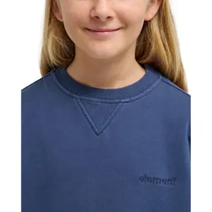 Sweatshirt child Element Lowcase Pigment image-5