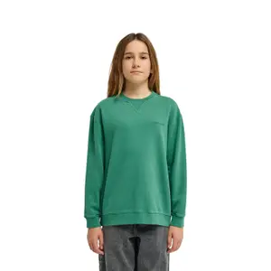 Sweatshirt child Element Lowcase Pigment image-1