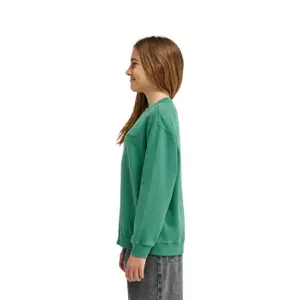 Sweatshirt child Element Lowcase Pigment image-4