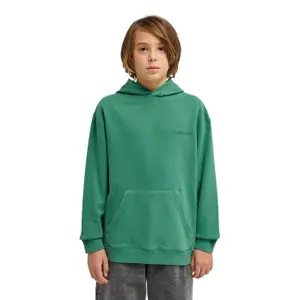 Sweatshirt med huva för barn Element Lowcase Pigment image-1