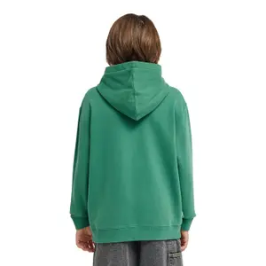 Sweatshirt med huva för barn Element Lowcase Pigment image-3