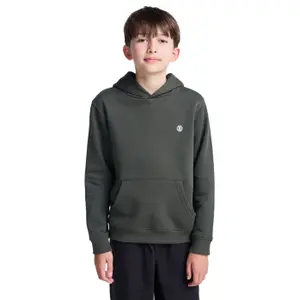 Sweatshirt à capuche enfant Element Icon Embroidery image-5