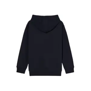 Hooded sweatshirt with zipper Element Icon Rain image-3