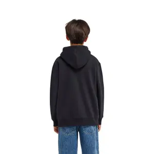 Hooded sweatshirt with zipper Element Icon Rain image-4