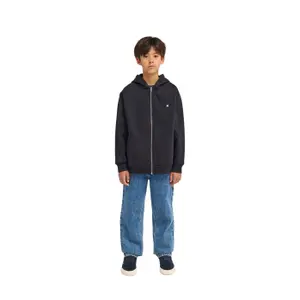 Hooded sweatshirt with zipper Element Icon Rain image-1