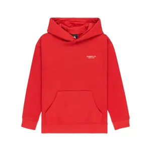 Child hoodie Element