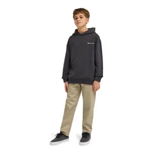 Sudadera con capucha infantil Element New Heights image-5