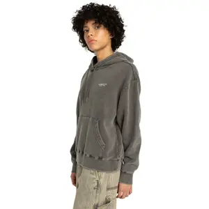 Women's hooded sweatshirt Element Washed image-2
