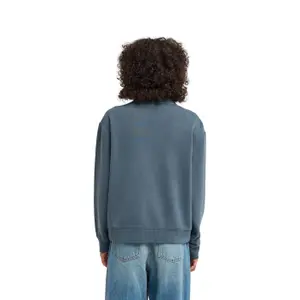 Sweatshirt 1/2 zip woman Element Lowcase Pigment image-4