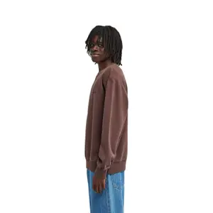 Sweatshirt Element Lowcase Pigment Cr image-5
