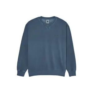 Sweatshirt Element Lowcase Pigment Cr image-0