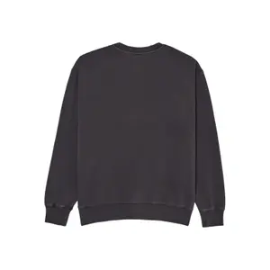 Sweatshirt Element Lowcase Pigment image-1