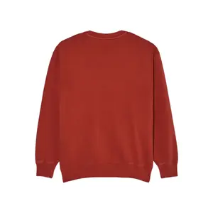 Sweatshirt Element Lowcase Pigment Cr image-3