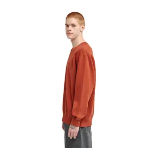 Sweatshirt Element Lowcase Pigment Cr image-5