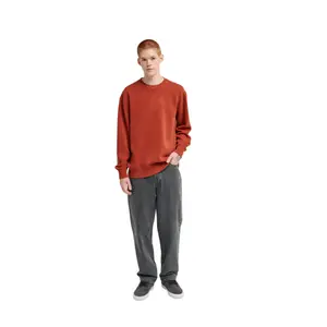 Sweatshirt Element Lowcase Pigment Cr image-2