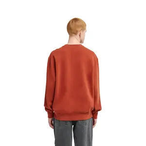 Sweatshirt Element Lowcase Pigment Cr image-4