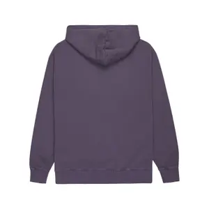 Hooded sweatshirt Element Lowcase Pigment image-3