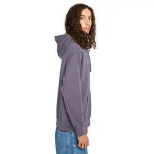 Hooded sweatshirt Element Lowcase Pigment image-5