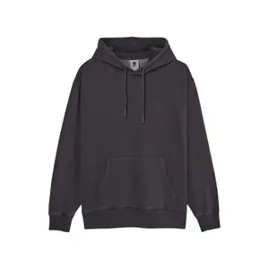 Hooded sweatshirt Element Lowcase Pigment image-0