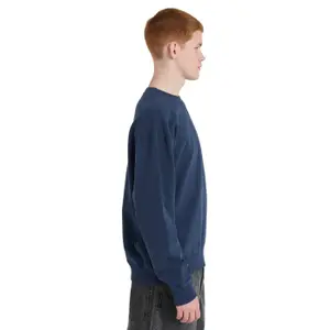 Sweatshirt Element Lowcase Pigment image-4