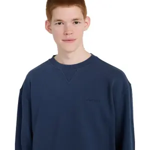 Sweatshirt Element Lowcase Pigment image-6