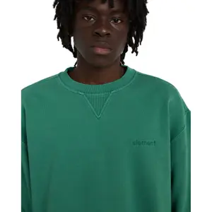 Sweatshirt Element Lowcase Pigment image-6