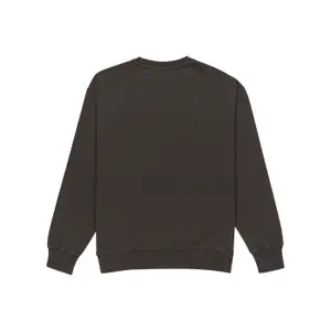 Sweatshirt Element Cornell 3.0 image-3