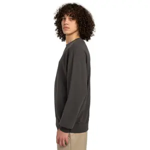 Sweatshirt Element Cornell 3.0 image-5