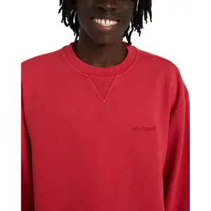 Sweatshirt Element Lowcase Pigment image-6