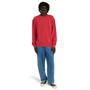 Sweatshirt Element Lowcase Pigment image-5