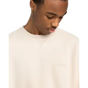 Sweatshirt Element Cornell 3.0 image-6