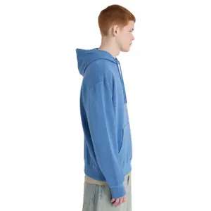 Hooded Sweatshirt Element Lowcase Pigment image-4