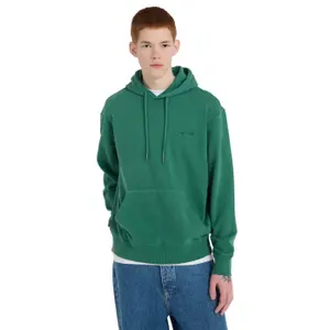 Hooded Sweatshirt Element Lowcase Pigment image-1