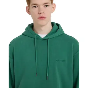 Hooded Sweatshirt Element Lowcase Pigment image-6