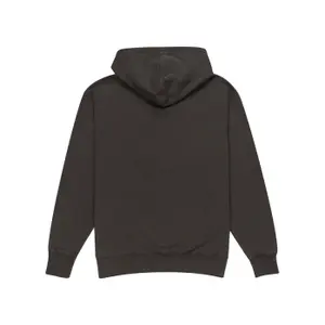 Hooded Sweatshirt Element Lowcase Pigment image-2