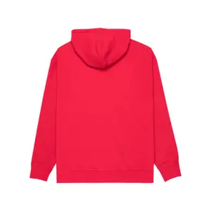 Hooded Sweatshirt Element Lowcase Pigment image-2