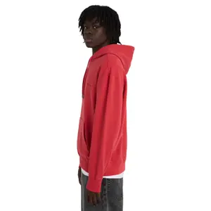 Hooded Sweatshirt Element Lowcase Pigment image-4