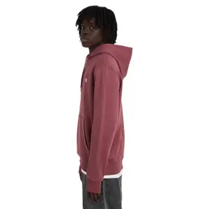Sweatshirt med huva Element Icon Embroidery image-3