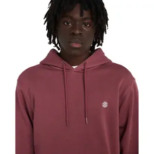 Sweatshirt med huva Element Icon Embroidery image-4