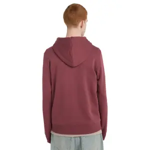 Sweatshirt med huva och dragkedja Element Icon Embroidery image-3