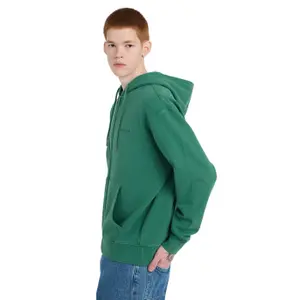 Zip-up hoodie Element Lowcase Pigment image-4
