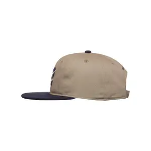 5 Panel Cap Element Year image-1
