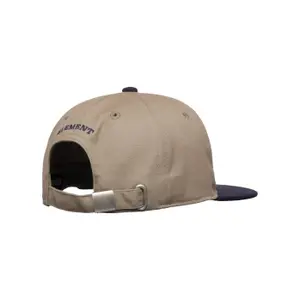 5 Panel Cap Element Year image-2