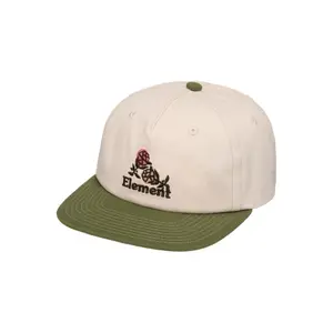 Snapback cap Element Flower Pool image-0
