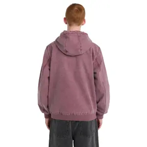 Hooded jacket Element Dulcey Canvas LT image-3