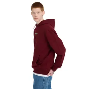 Sweatshirt med huva Element Simple Logo image-3