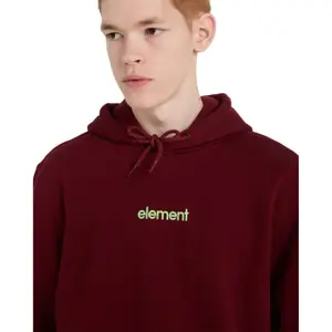 Sweatshirt med huva Element Simple Logo image-4