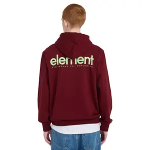Sweatshirt med huva Element Simple Logo image-6